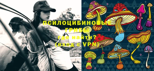 эйфоретик Баксан