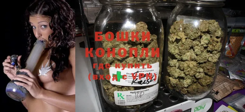 где продают   Белокуриха  Бошки Шишки SATIVA & INDICA 